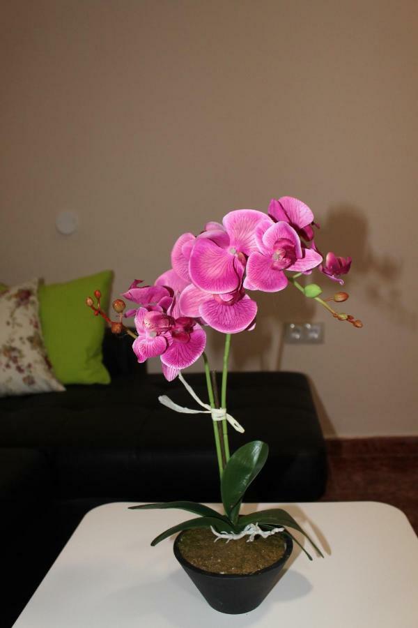 Beautiful Apartment Hercules Costa Del Silencio Zewnętrze zdjęcie